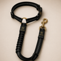 Ceinture de Sécurité Premium Nexilor™