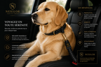 Ceinture de Sécurité Premium Nexilor™