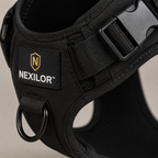Harnais NEXILOR™ Atlas II