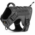 Harnais NEXILOR™ Atlas II