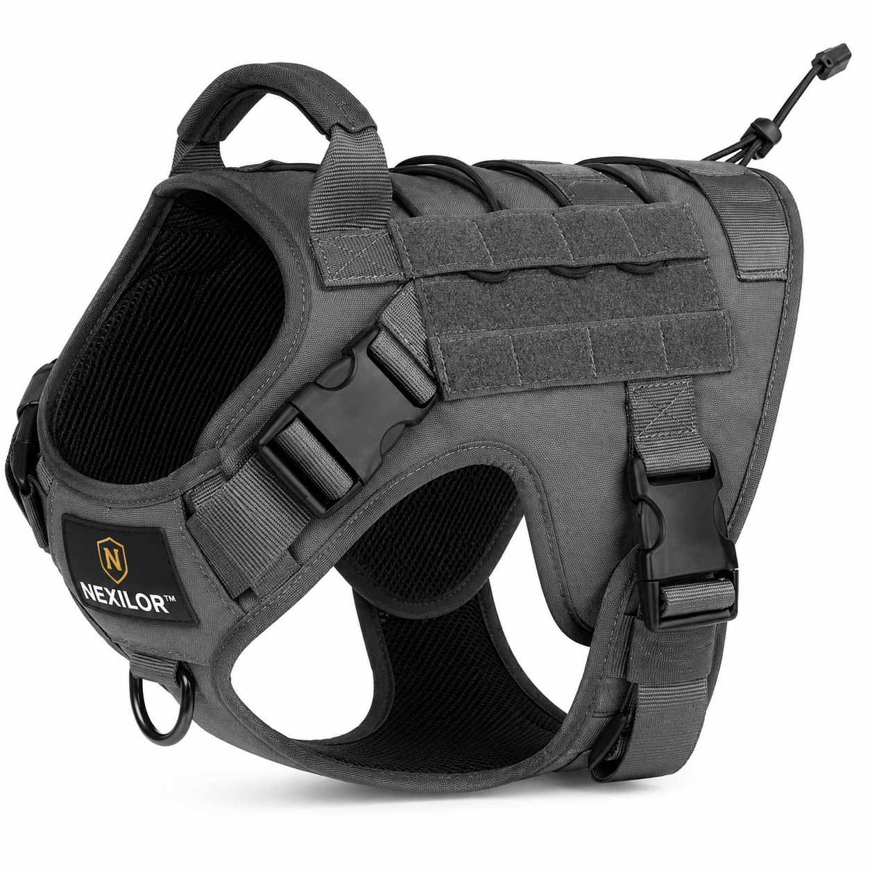 Harnais NEXILOR™ Atlas II