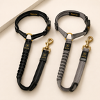 Ceinture de Sécurité Premium Nexilor™