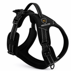 Harnais NEXILOR™ Atlas