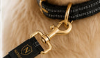 Ceinture de Sécurité Premium Nexilor™