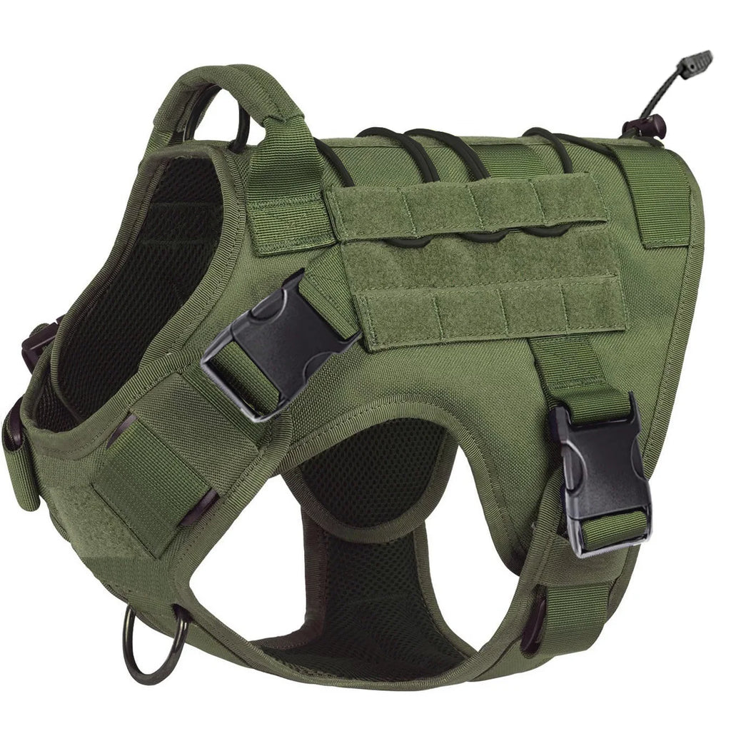 Harnais NEXILOR™ Atlas II
