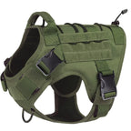 Harnais NEXILOR™ Atlas II