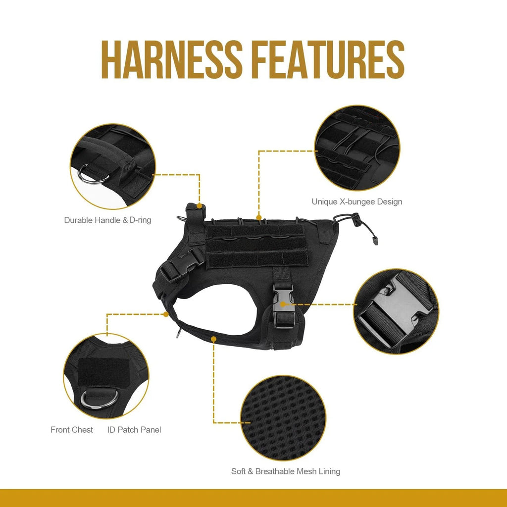Harnais NEXILOR™ Atlas II