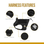 Harnais NEXILOR™ Atlas II