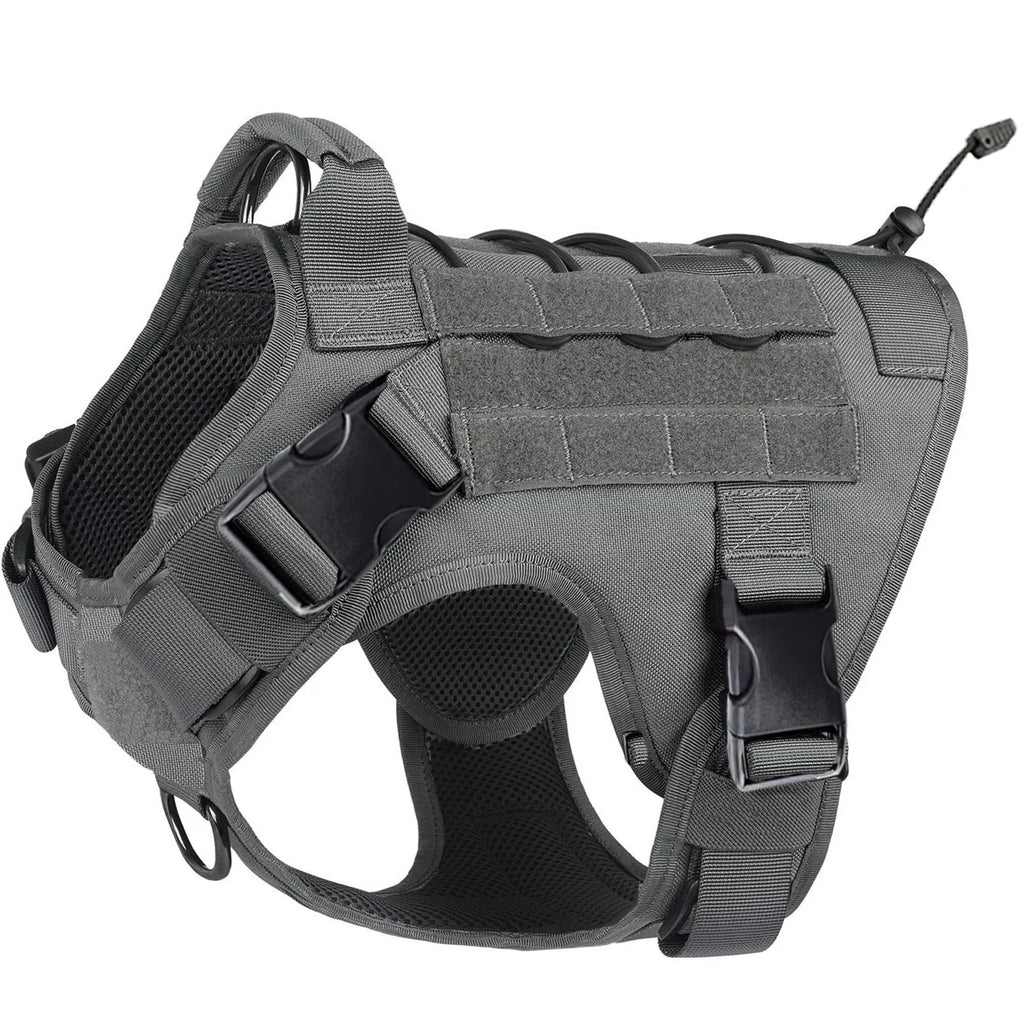 Harnais NEXILOR™ Atlas II