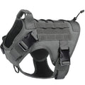 Harnais NEXILOR™ Atlas II