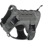 Harnais NEXILOR™ Atlas II