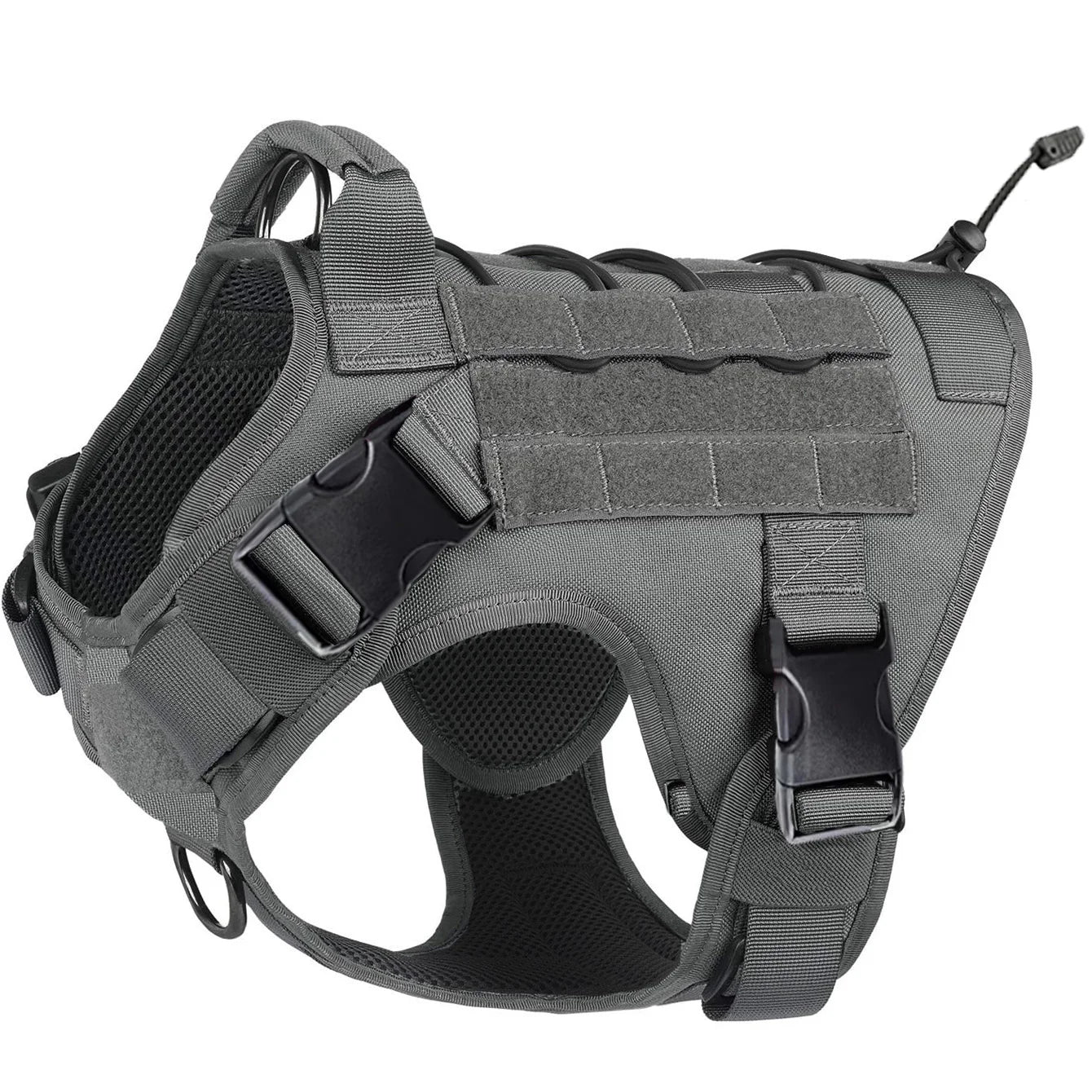 Harnais NEXILOR™ Atlas II